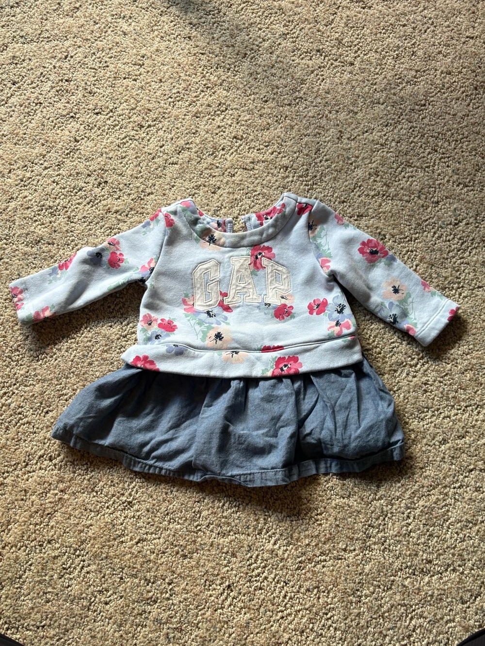 🩷 6 for $20 🩷 GAP Floral Sweatshirt Dress in Light Blue and Pink